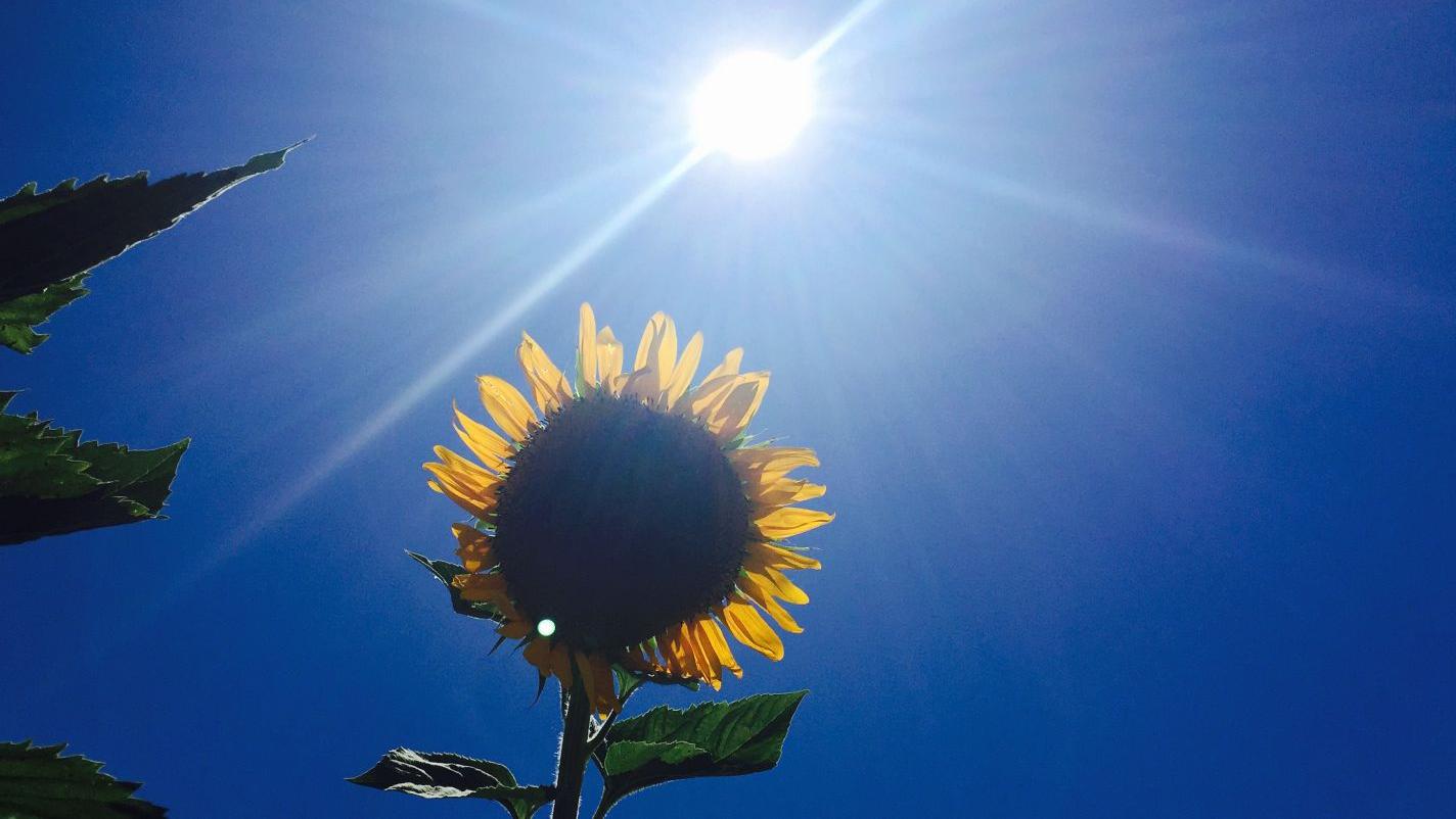 Tucson weather: Rising temperatures and no rain in sight